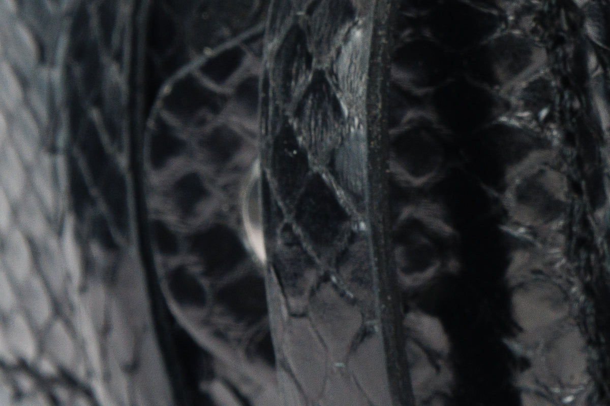 The Boss Black python Sneak Leather Belt