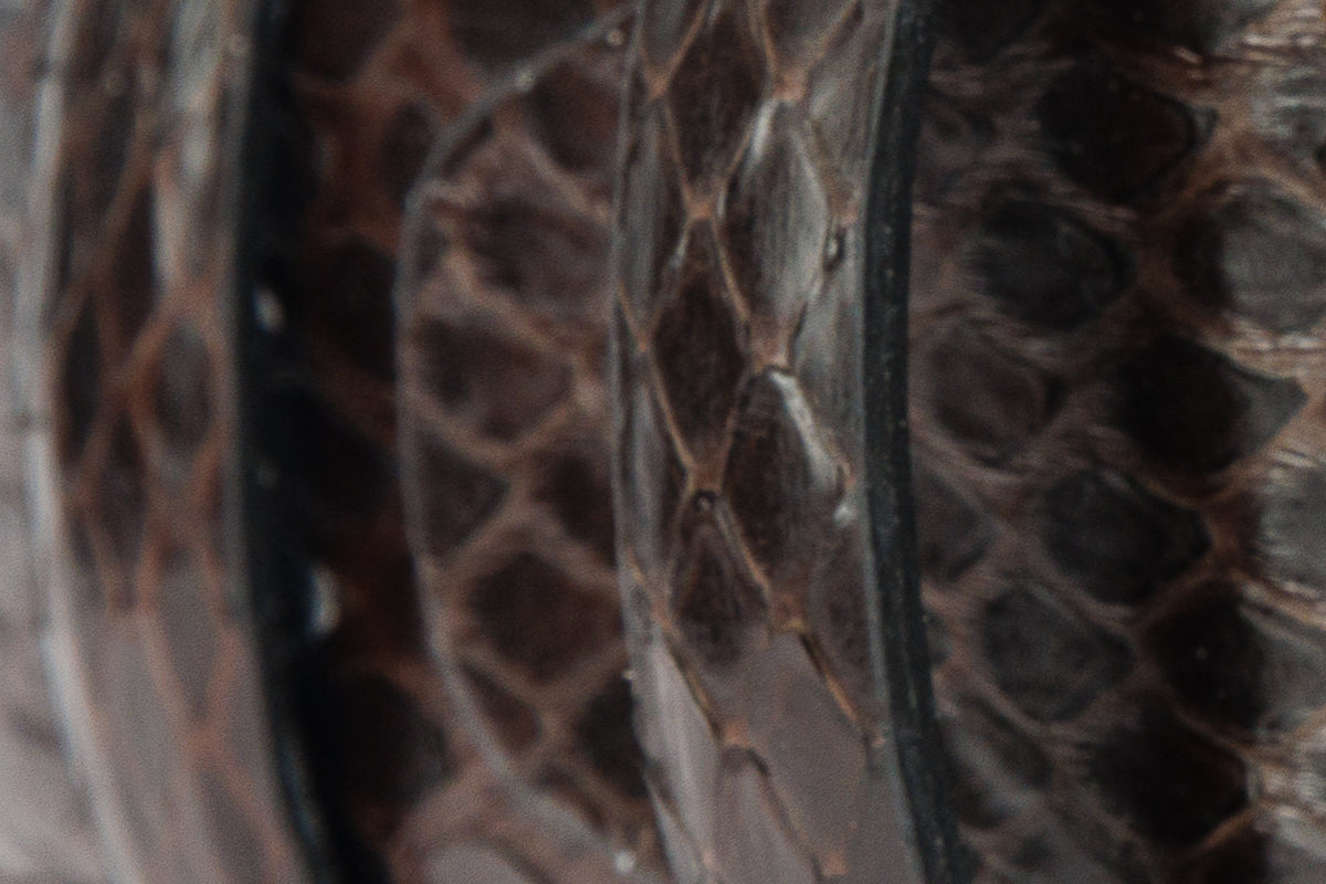 The Boss Brown python Sneak Leather Leather Belt