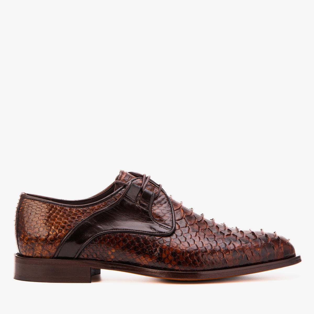 Zapato Derby para Hombre Valmont de Cuero de Pitón Color Tostado