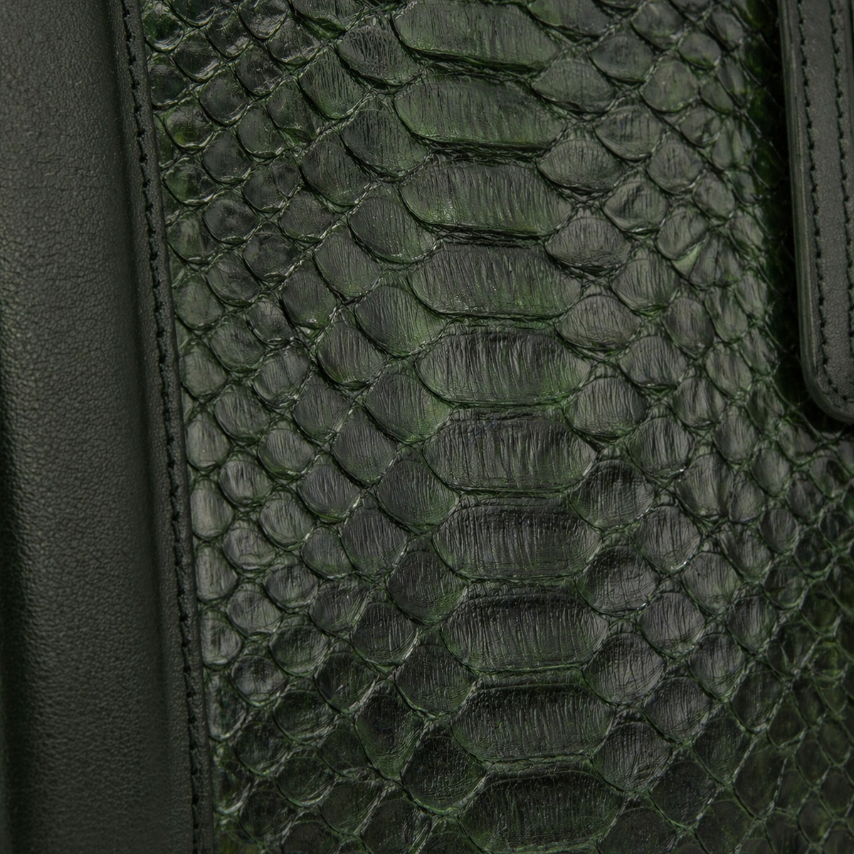 The Velar Bolso de fin de semana de piel de pitón pintado a mano Verde